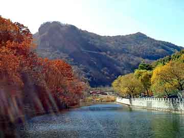 書(shū)記專(zhuān)題輔導(dǎo)授課，深化理論，賦能實(shí)踐發(fā)展之路