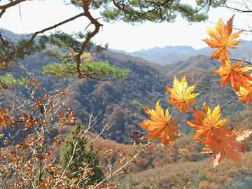 北京冬殘奧會(huì)勵(lì)志語(yǔ)錄，挑戰(zhàn)自我，超越極限，激發(fā)無(wú)限潛能！