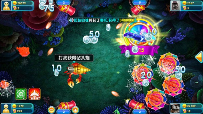 797捕魚官方下載,全面分析解釋定義_戰(zhàn)斗版_v10.276