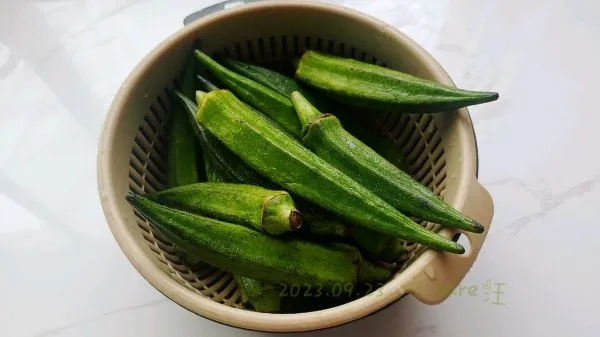 秋葵污版本,創(chuàng)新策略解析_Executive1_v6.104