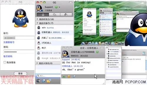 蘋果4qq版本,最佳實踐策略實施 界面版_v9.550