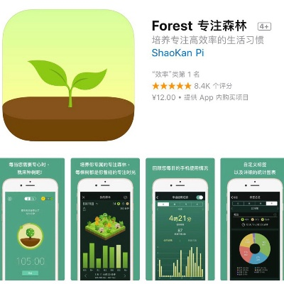 forest版本,清晰計劃執(zhí)行輔導(dǎo)|SP_v10.380