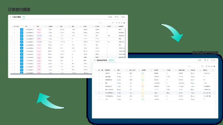 單多多手機(jī)官方下載，數(shù)據(jù)決策分析驅(qū)動(dòng)軟件介紹與軟件許可證類(lèi)型解析