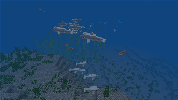 我的世界海洋版本，迅速設(shè)計(jì)解答方案_進(jìn)階款_v1.890，替代知名付費(fèi)軟件的理想選擇