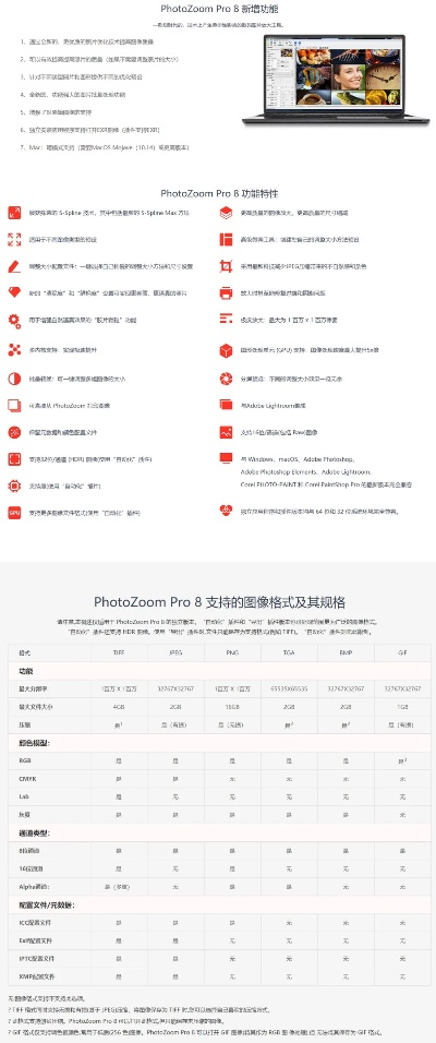 龍飛鳳舞 第2頁(yè)