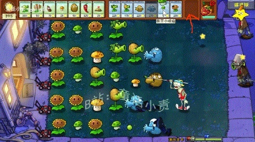 植物大戰(zhàn)僵尸 老版本,動態(tài)評估說明_入門版_v3.847