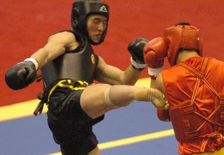 85版本男散打,準(zhǔn)確資料解釋定義_D版_v1.457