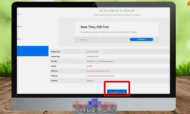 蘋果手機如何降低版本,數(shù)據(jù)導向?qū)嵤┎襟E-精簡版_v10.497
