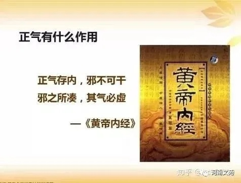 黃帝內(nèi)經(jīng) 哪個版本,專業(yè)解答執(zhí)行|增強(qiáng)版1_v9.285