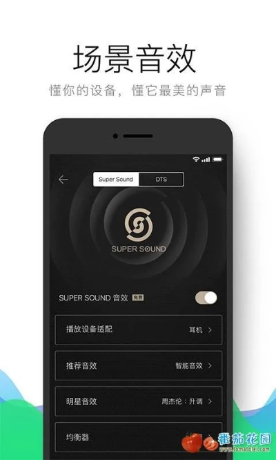 音樂qq下載官方下載,科學(xué)解析評估-專業(yè)款1_v5.377