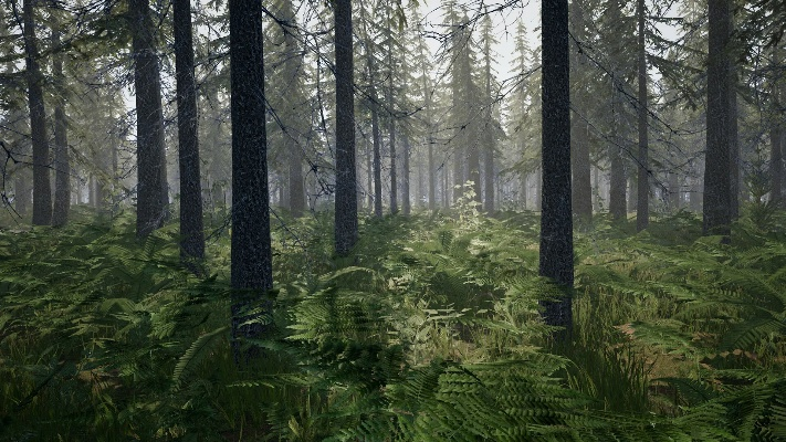 森林新版本,實(shí)效設(shè)計(jì)計(jì)劃解析&amp;Executive1_v3.154