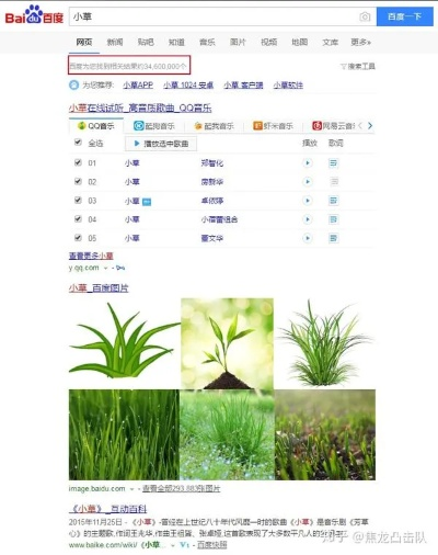小草掛官方下載,穩(wěn)定計(jì)劃評估&網(wǎng)頁款_v10.130