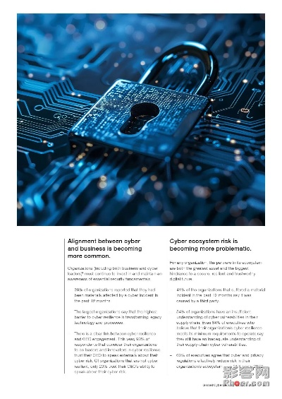 太極熊貓最新版本下載，網(wǎng)絡(luò)安全顧問(wèn)的專業(yè)解讀與評(píng)估