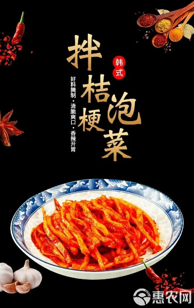 撈腌菜官方下載,深層策略執(zhí)行數(shù)據(jù)&amp;網(wǎng)紅版_v9.367