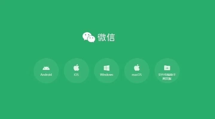 老版本微信app,安全設(shè)計解析策略-soft_v1.177