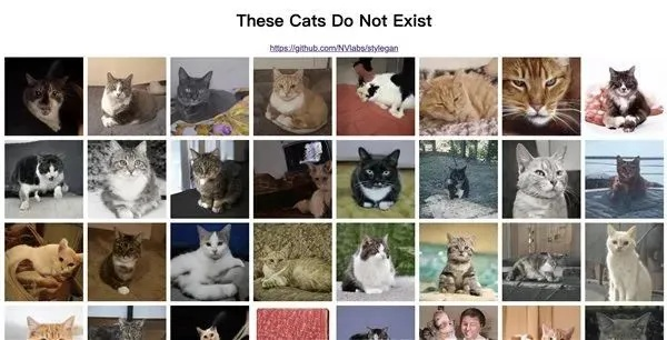 貓咪破解版本,實地數(shù)據(jù)驗證實施-1440p_v1.469